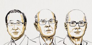 Premio Nobel de Química 2025 al japonés Susumu Kitagawa, al británico Richard Robson y al jordano Omar M. Yaghi Los químicos han podido diseñar decenas de miles de MOF diferentes