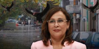 “Veracruz no es carne para la carroña”: Rocío Nahle responde a promotores de la revocación de mandato en Veracruz Descarta Rocío Nahle solicitar la renuncia de la titular de PC