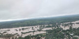 El desastre de Veracruz, sin Fonden ni seguro La improvisación, ineficiencia y tortuguismo, no les permite enfrentar las secuelas del desastre que dejaron Priscilla y Raymond en Veracruz