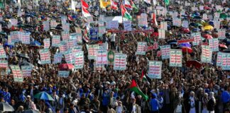 Israel cesa su ofensiva en Gaza y los palestinos emprenden su retorno Palestinos emprenden el retorno a su país