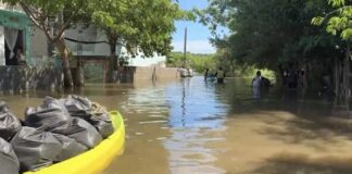 Emergencia en Pueblo Viejo: piden a familias acudir a refugios ante aumento del río Pánuco Alcaldesa pide a la población acudir a los albergues para su resguardo