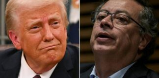Pleito Trump/Petro beneficia al crimen organizado Trump comentó ayer que Colombia debería "cerrar" los narcocultivos de "inmediato". Si no lo hace, "Estados Unidos se los cerrará, y no lo hará de buena forma"