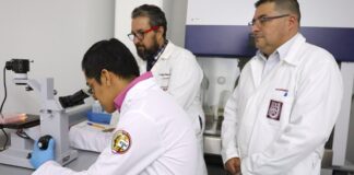 Implementa SEP Constancia de Situación Profesional para evitar fraudes y falsificaciones en cédulas académicas La plataforma digital gratuita ha tenido gran aceptación al superar 800 mil descargas y dos millones de consultas en menos de un mes