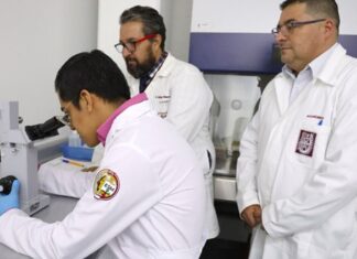 Implementa SEP Constancia de Situación Profesional para evitar fraudes y falsificaciones en cédulas académicas La plataforma digital gratuita ha tenido gran aceptación al superar 800 mil descargas y dos millones de consultas en menos de un mes