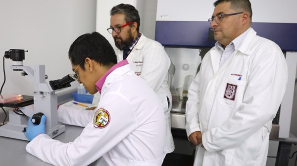 SEP-Cédula La plataforma digital gratuita ha tenido gran aceptación al superar 800 mil descargas y dos millones de consultas en menos de un mes