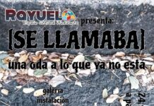 “Se llamaba”, ejercicio de arte visual, 24 y 25 de octubre en Veracruz Las propuestas de “El Daniel”, collage análogo; Vinicio, fotografía; Siddharta Guerrero, aerografía y Eros Dei, obra gráfica se suman en un mismo espacio donde confluyen galería, instalación, música y lectura