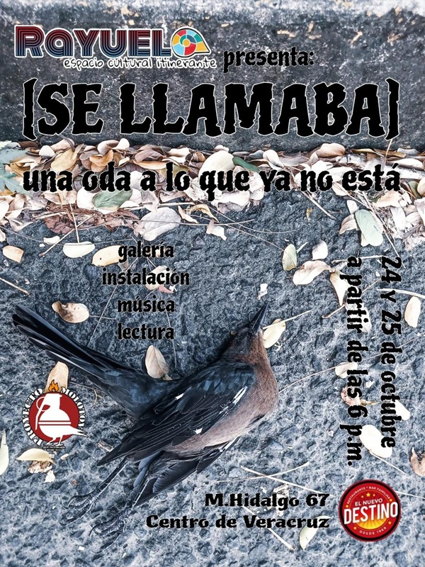 SeLlamaba Las propuestas de “El Daniel”, collage análogo; Vinicio, fotografía; Siddharta Guerrero, aerografía y Eros Dei, obra gráfica se suman en un mismo espacio donde confluyen galería, instalación, música y lectura