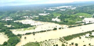 La tormenta de los ineptos El desastre natural exhibió sus desastres políticos