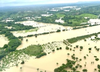 La tormenta de los ineptos El desastre natural exhibió sus desastres políticos