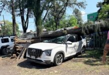 Presencia del FF-11 en Xalapa, deja daños en 11 colonias de la capital Autoridades municipales de PC pidieron a la población mantenerse a resguardo y reportar al 911 cualquier contingencia