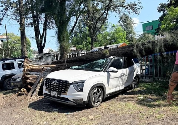 Xalapa Autoridades municipales de PC pidieron a la población mantenerse a resguardo y reportar al 911 cualquier contingencia