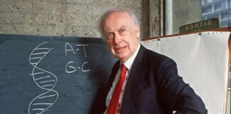 Muere James Watson, el premio Nobel despojado de sus títulos por reiterar que los negros son menos inteligentes que los blancos por sus genes En 2014, Watson fue noticia por su decisión de vender su medalla de oro del Nobel. Era la primera vez en la historia que un ganador del Nobel hacía algo semejante