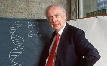 Muere James Watson, el premio Nobel despojado de sus títulos por reiterar que los negros son menos inteligentes que los blancos por sus genes En 2014, Watson fue noticia por su decisión de vender su medalla de oro del Nobel. Era la primera vez en la historia que un ganador del Nobel hacía algo semejante