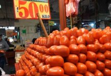 Inflación ‘da tregua’ y baja ligeramente: Se ubica 3.57% en octubre tras recorte de tasas en Banxico La inflación anual de México se desaceleró en octubre a 3.57 por ciento, justo un día después de que el Banxico aplicara su undécimo recorte en las tasas