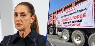 Sheinbaum rechaza que transportistas tengan carpeta de investigación por bloqueos: ‘Se malinterpretó’ CSP negó que haya una persecución contra transportistas y agricultores luego de los bloqueos realizados