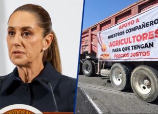 Sheinbaum rechaza que transportistas tengan carpeta de investigación por bloqueos: ‘Se malinterpretó’ CSP negó que haya una persecución contra transportistas y agricultores luego de los bloqueos realizados
