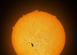 La impresionante imagen de un hombre en caída libre frente al Sol McCarthy explicó que la imagen fue tomada con varios instrumentos, especialmente ajustados a la banda de hidrógeno alfa del Sol, que revela la cromosfera solar