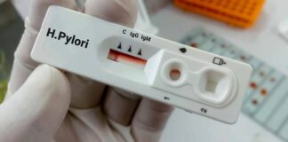 En 70% de mexicanos, bacteria asociada al cáncer gástrico La erradicación del Helicobacter pylori debe ser prioridad de salud pública, porque es una infección endémica con tasas de reinfección cercanas a 20 por ciento