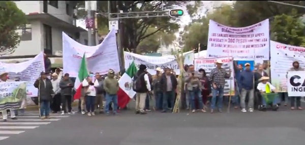 Cañeros Criticó que el decreto sólo se refiera al azúcar importada y no al ingreso masivo de jarabe de alta fructosa, producto derivado del maíz que se compra principalmente a EU