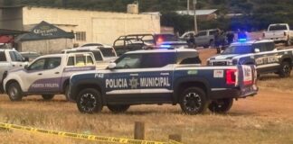 Asesinan a 7 personas durante una carrera de caballos en Parral, Chihuahua Jorge Armendáriz, vocero de la SSP indicó que se sigue recabando la información y se ha confirmado el fallecimiento de siete personas