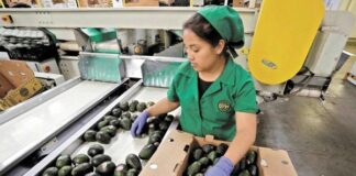 Creación de empleo en los primeros tres trimestres del año es la más baja en una década Las cifras del tercer trimestre confirman la creación de empleo más baja para un periodo enero-septiembre desde el 2014