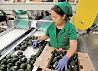 Creación de empleo en los primeros tres trimestres del año es la más baja en una década Las cifras del tercer trimestre confirman la creación de empleo más baja para un periodo enero-septiembre desde el 2014