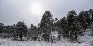 Informa CONAGUA que el FF-16 ingresará en las próximas horas El FF-16 'arrastrará' a la primera tormenta invernal de la temporada en México