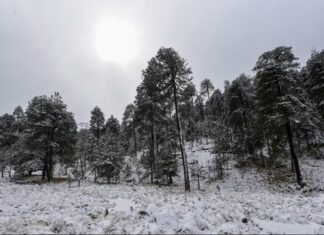 Informa CONAGUA que el FF-16 ingresará en las próximas horas El FF-16 'arrastrará' a la primera tormenta invernal de la temporada en México