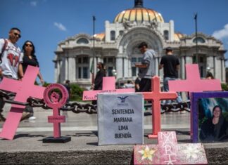Alerta Cepal por feminicidios en México: Casos de 2024 representan 22% de América Latina y el Caribe La mayor amenaza a la vida de las mujeres proviene de los hombres con los que tienen vínculos más cercanos