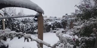 Clima gélido ‘invade’ México con tormenta invernal y 2 frentes fríos Se prevé que también otras regiones como el Bajío o el sureste tendrán temperaturas bajas