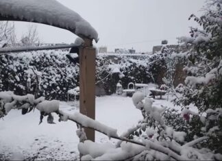 Clima gélido ‘invade’ México con tormenta invernal y 2 frentes fríos Se prevé que también otras regiones como el Bajío o el sureste tendrán temperaturas bajas