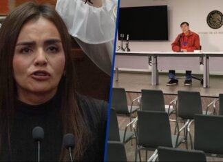 Grecia Quiroz responde a críticas de Noroña: ‘Hay niveles para conducirse a una mujer que vive un duelo’ Grecia Quiroz afirmó que las expresiones de Gerardo Fernández Noroña carecen de respeto hacia una mujer en duelo tras el asesinato de Carlos Manzo