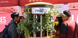 Economía mexicana continúa estancada: Se contrae 0.6% en septiembre, advierte el Inegi Según cifras del Inegi, el sector industrial registró una caída anual de 3.3%