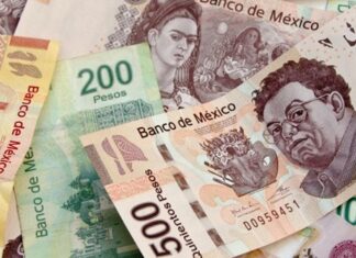 Inversionistas extranjeros han retirado más de 123 mil millones de pesos de México en lo que va del año Durante el primer trimestre del 2025 se observó el ingreso de recursos foráneos, sin embargo, de abril al 5 de noviembre pasados, se fueron del país 160 mil 858 mdp