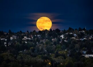 La superluna más grande del año llega con una lluvia de meteoros Una noche despejada puede transformar una observación ordinaria en una experiencia inolvidable