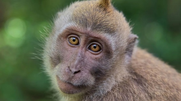 Rejuvenecer No se habla de inmortalidad ni de elixires mágicos. Se trata de biología celular y tisular real, medible y replicable, y eso ya supone una revolución silenciosa