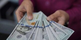 Remesas ligan seis meses consecutivos a la baja; caen 2.7% en septiembre: BdeM Las transferencias familiares desde EU, ligaron seis meses consecutivos a la baja, esto en un contexto de incertidumbre marcado por la política migratoria de Trump