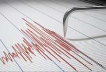 Registran temblor de 5.2 en Baja California Sur Un sismo de magnitud 5.2 sacudió el Pacífico frente a las costas de Baja California Sur durante la tarde de este domingo; otro de 4.2 se detectó en Guerrero