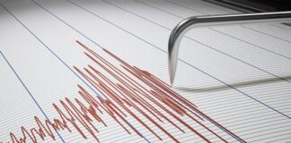 Registran temblor de 5.2 en Baja California Sur Un sismo de magnitud 5.2 sacudió el Pacífico frente a las costas de Baja California Sur durante la tarde de este domingo; otro de 4.2 se detectó en Guerrero