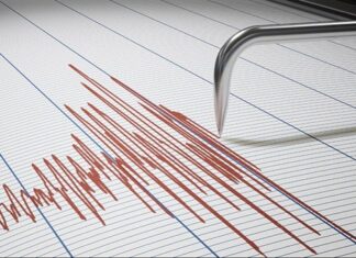 Registran temblor de 5.2 en Baja California Sur Un sismo de magnitud 5.2 sacudió el Pacífico frente a las costas de Baja California Sur durante la tarde de este domingo; otro de 4.2 se detectó en Guerrero