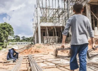 Organizaciones exigen al gobierno mexicano blindar el T-MEC contra explotación y trabajo forzoso La revisión del T-MEC está prevista para 2026 tras ser anunciada a inicios de 2025, en medio de la guerra arancelaria global desatada por el presidente de EU, Donald Trump