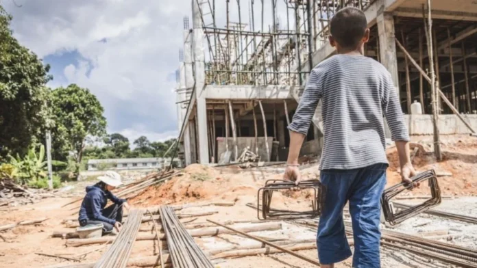 La revisión del T-MEC está prevista para 2026 tras ser anunciada a inicios de 2025, en medio de la guerra arancelaria global desatada por el presidente de EU, Donald Trump