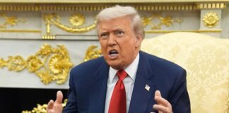 Trump evalúa tomar “medidas adicionales” contra cárteles en México, asegura vocera de la Casa Blanca El presidente de Estados Unidos aseguró que los servicios de inteligencia conocen en detalle las rutas y líderes del narcotráfico