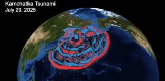 La revolucionaria tecnología con la que científicos detectaron la formación de un tsunami en tiempo real y que puede salvar miles de vidas Los nuevos sistemas de monitoreo atmosférico podrían ayudar a mejorar los pronósticos actuales sobre la propagación de las olas de un tsunami en el océano