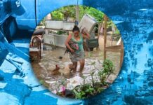 Inundaciones en Veracruz afectaron a más de 10,000 comercios y empresas, tan solo en 6 municipios El costo de la reconstrucción podría oscilar entre los 6,500 y los 14,000 millones de pesos