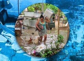 Inundaciones en Veracruz afectaron a más de 10,000 comercios y empresas, tan solo en 6 municipios El costo de la reconstrucción podría oscilar entre los 6,500 y los 14,000 millones de pesos