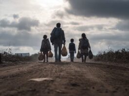 Remesas recibidas en México no tienen que ver con lavado de dinero, asegura Sheinbaum La presidenta de México dijo que no se puede criminalizar a todos los mexicanos que envían remesas al país