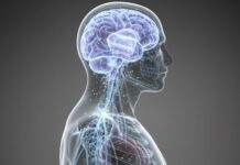 Cómo la vacuna contra el herpes zóster podría prevenir y ralentizar la demencia en personas +60 Un estudio liderado por científicos de la Universidad de Stanford analizó esta posibilidad. Qué reveló el seguimiento de más de 280 mil historias clínicas