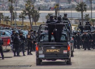 García Harfuch crea policías de élite en México La Unidad Nacional de Operaciones Estratégicas se centrará en investigación, análisis, operaciones especiales y uso avanzado de tecnología para la persecución del delito