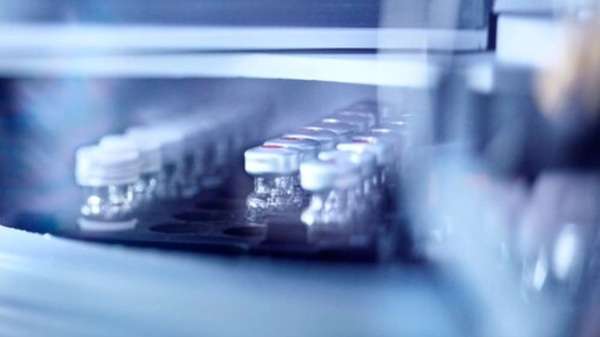 Vacunas El panorama es complejo y exige una respuesta coordinada e inmediata de las autoridades y la población para evitar un retroceso histórico en la salud pública del país y mantener la erradicación de enfermedades prevenibles